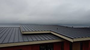 Best Commercial Roofing Services  in Porcupine, SD